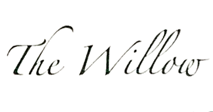 The Willow Care Home Logo